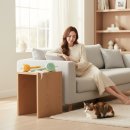 KC에너지 | 우리 집 '냥육대' 혁명을 가져온 "씨엔와우 KC인증 애완동물 낚시대 레이저 LED 털 손질 다기능 장난감...