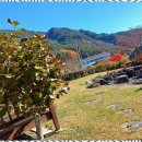 미송펜션 이미지