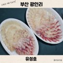 다원활어 | 부산 광안리 회센터 맛집 추천 유성호 민락회센터 포장 TOP1