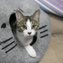 마마동물병원 이미지