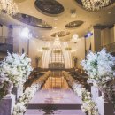 목화파크 이미지