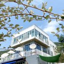 일오공삼 | 부산 가덕도 일오공삼, 작은 동물원이 있는 이색 카페 방문기