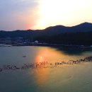진도