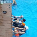 개나리펜션 이미지