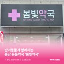 봄빛약국 이미지