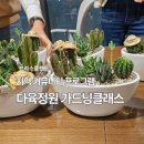(봄맞이) 홈가드닝 | 중구 을지로 아파트 커뮤니티 봄맞이 다육정원 가드닝클래스