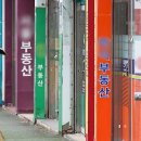 미래뉴스공인중개사사무소 네이버블로그
