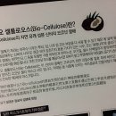 라니코스메틱