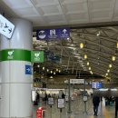 미스터뚱 | 내 해외여행 후쿠오카 2박 3일 251127~251129