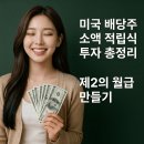 매달 30만 원씩 미국 배당주를 샀더니 벌어진 일 (3년 실전 투자 후기)