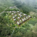 푸르미르 이미지