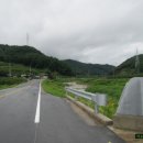 야산아약초 Daum카페