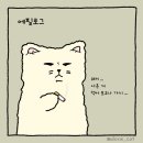 강아지삼촌 이미지