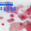 온천동물병원 이미지