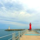 하양낚시 이미지