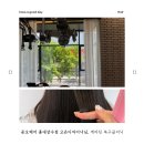 고은염색헤어샵 | 홍대미용실 케라틴 복구클리닉, 고은 디자이너님이 만들어준 손상모발 고민 해결 추천