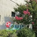 아해한국전통문화어린이박물관(아해박물관) | 서울근교 방학 나들이 추천! 아이들과 함께하는 아해박물관 레트로 여행