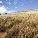 대왕푸드 이미지