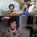 캥거루한의원 뉴스엔