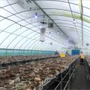 윤영농장 이미지