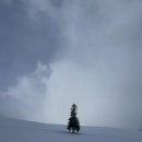 (주)비에이코리아 | 12월, 엄마랑 단 둘이 3박 4일 겨울 삿포로 자유 여행기 _2일차 비에이 투어편 (+야끼니꾸 집 추천)