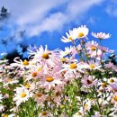 풍요로운 기다림 이미지