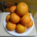 녹원농장 이미지