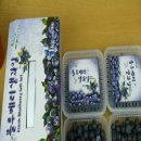 모현농장 이미지