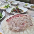 구룡포 창우물회 티스토리