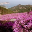 대암주유소 이미지