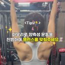 바오핏가락문정 이미지