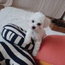 소리야네집 이미지