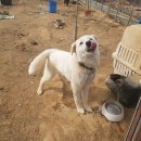 도고농장 이미지