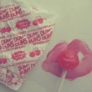 인간행동과사회환경 이미지