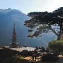 아침향기 이미지