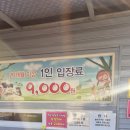 성환엘크사슴농장 | 강릉 이색체험 찾는다면 강릉쌍둥이동물농장 동물교감 후기