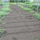 발전농장 이미지