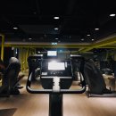 시그마스포츠 이미지