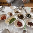 쌍용간판 | 영월 불고기 맛집 쌍용집 내돈내산 후기🥓