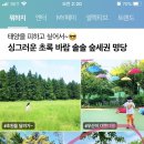 메인아이