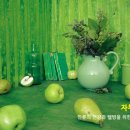 노블레스 웰빙 이미지