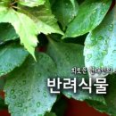 자연은동물병원 이미지