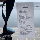 노루발타이어