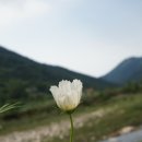 제천꽃농원