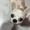 덕소안마원 네이버블로그