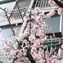 새말공원 화장실 이미지