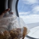 승일카 | 티웨이항공 바르셀로나 직항 왕복 후기 기내식