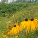 운중동주민센터 이미지