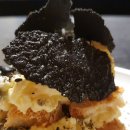 코타제주 이미지