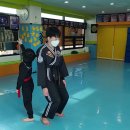 용인대 유성 합기도 이미지